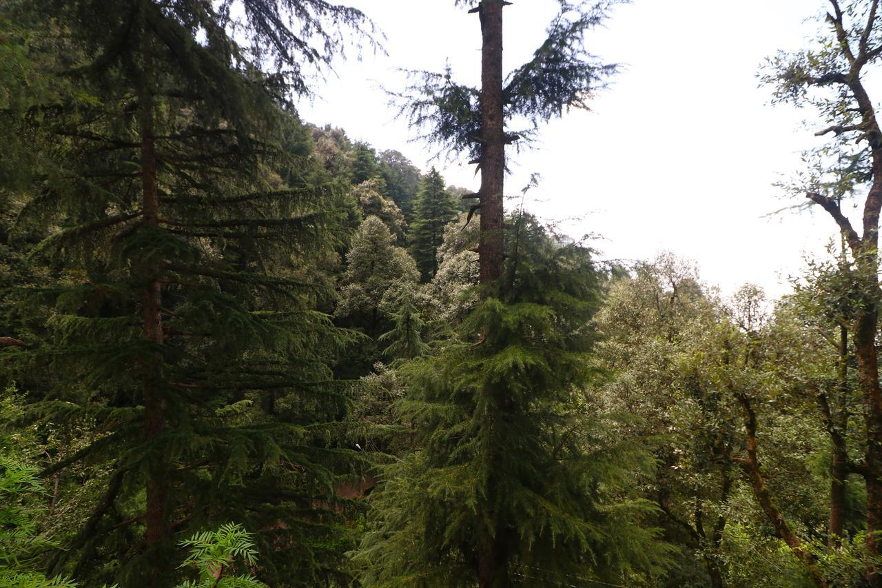 Vilasa Lall Ji Resort Dalhousie Eksteriør bilde